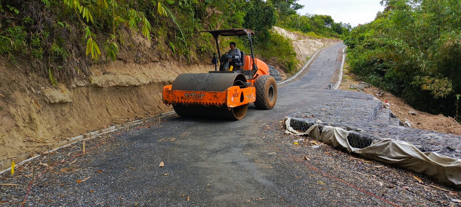 Compaction Project 2